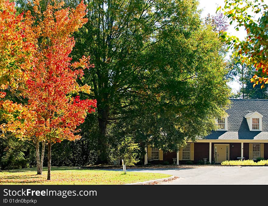 A beautiful landscape of harvest color gracing a home. A beautiful landscape of harvest color gracing a home