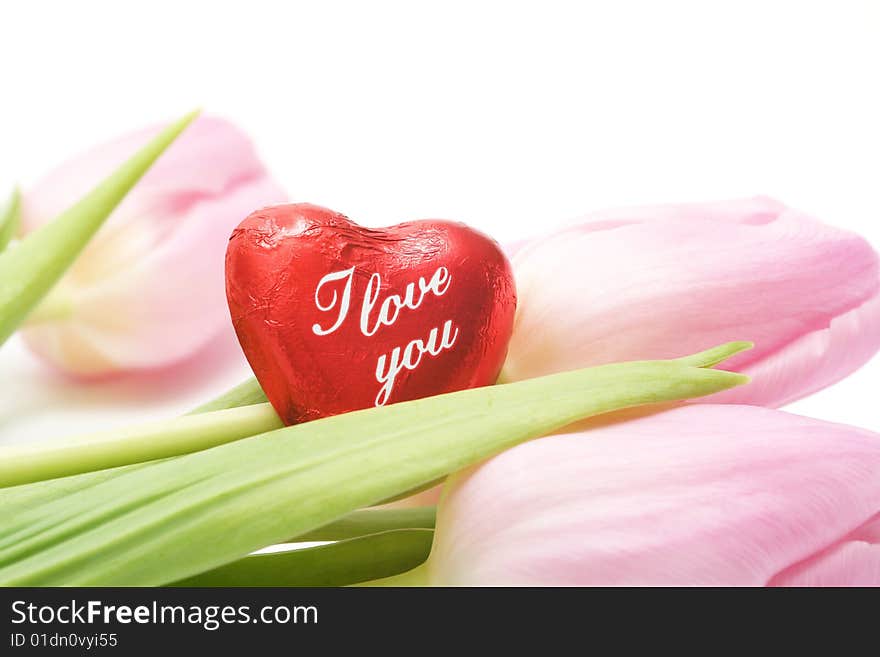 Valentine Heart and pink tulips on white background.