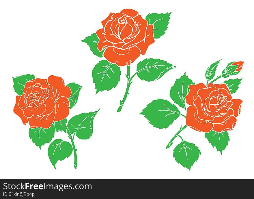 Red roses. There is in addition a vector format (EPS 8). Red roses. There is in addition a vector format (EPS 8).