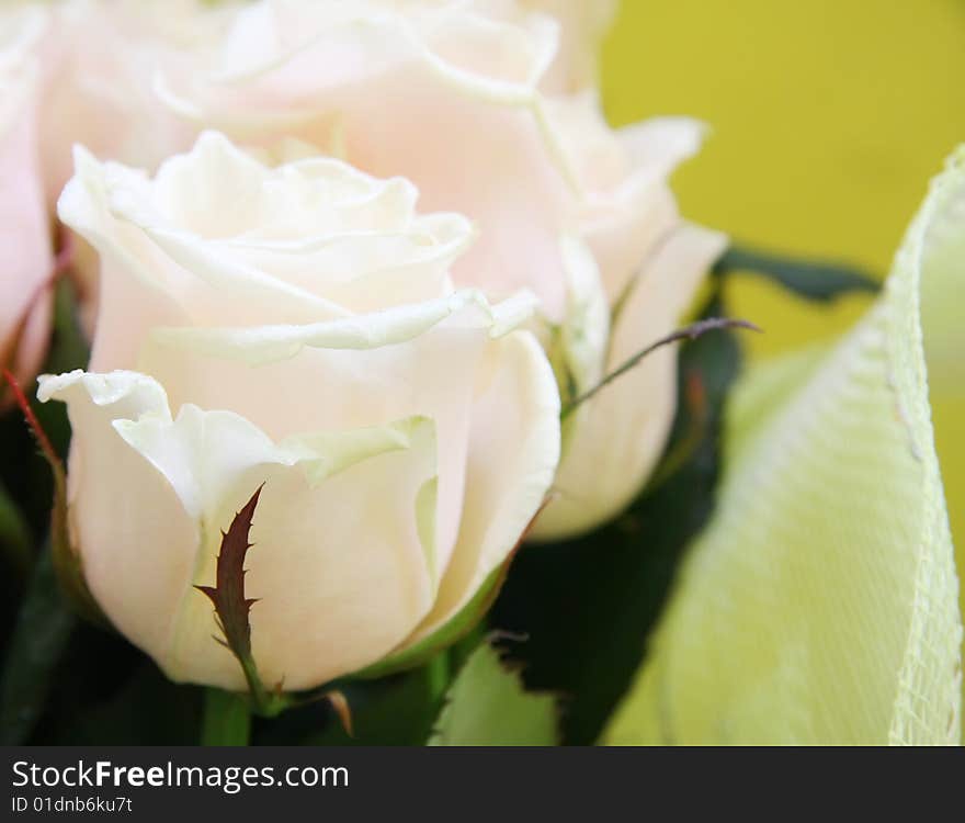 Beautiful wedding bunch of pale pink roses close-up