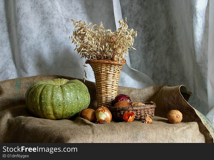 Still life with the pumpkin. Still life with the pumpkin