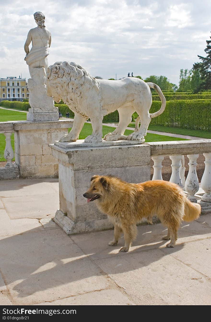 Homeless dog in front of sculptural lion. Homeless dog in front of sculptural lion