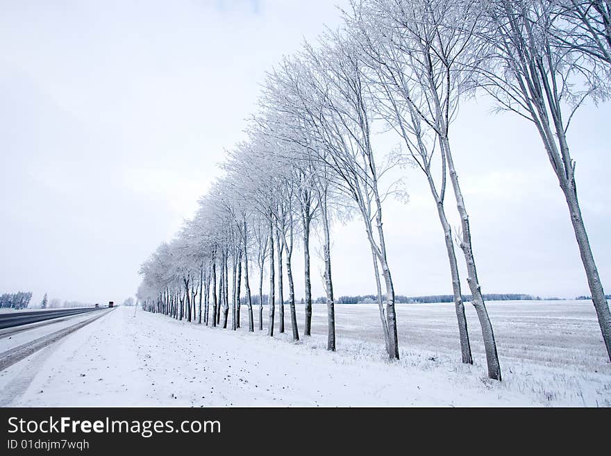 Winter Road