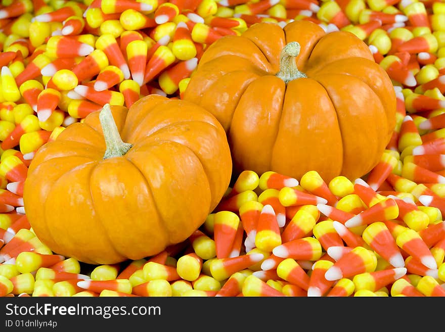 Mini Pumpkins In Candy Corn