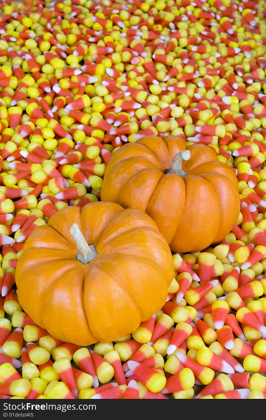 Mini Pumpkins in Candy Corn