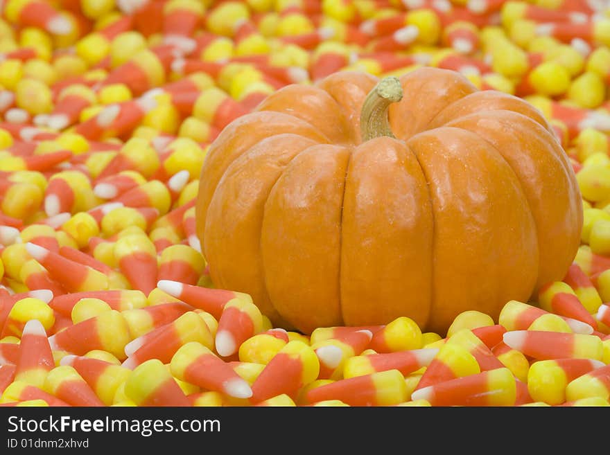 Two mini pumpkin in a field of candy corn. Two mini pumpkin in a field of candy corn.