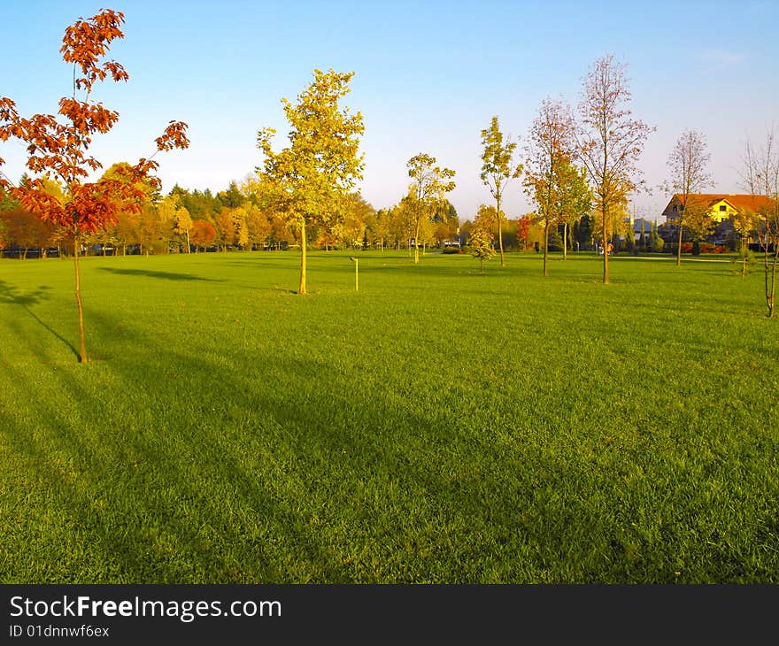 A green, sunny park in Romania. A green, sunny park in Romania