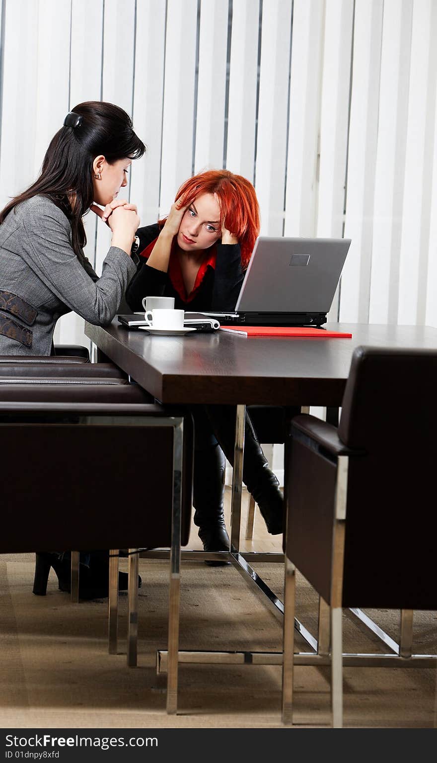 Two young caucasian businesswoman in the office. Two young caucasian businesswoman in the office