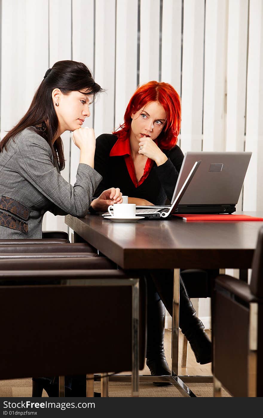 Two young caucasian businesswoman in the office. Two young caucasian businesswoman in the office