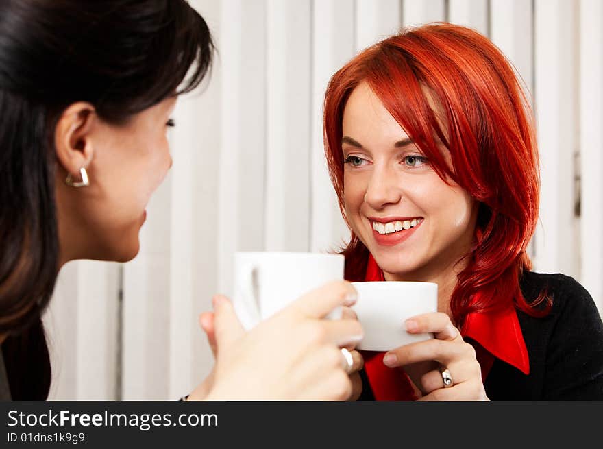 Two young caucasian businesswoman in the office. Two young caucasian businesswoman in the office