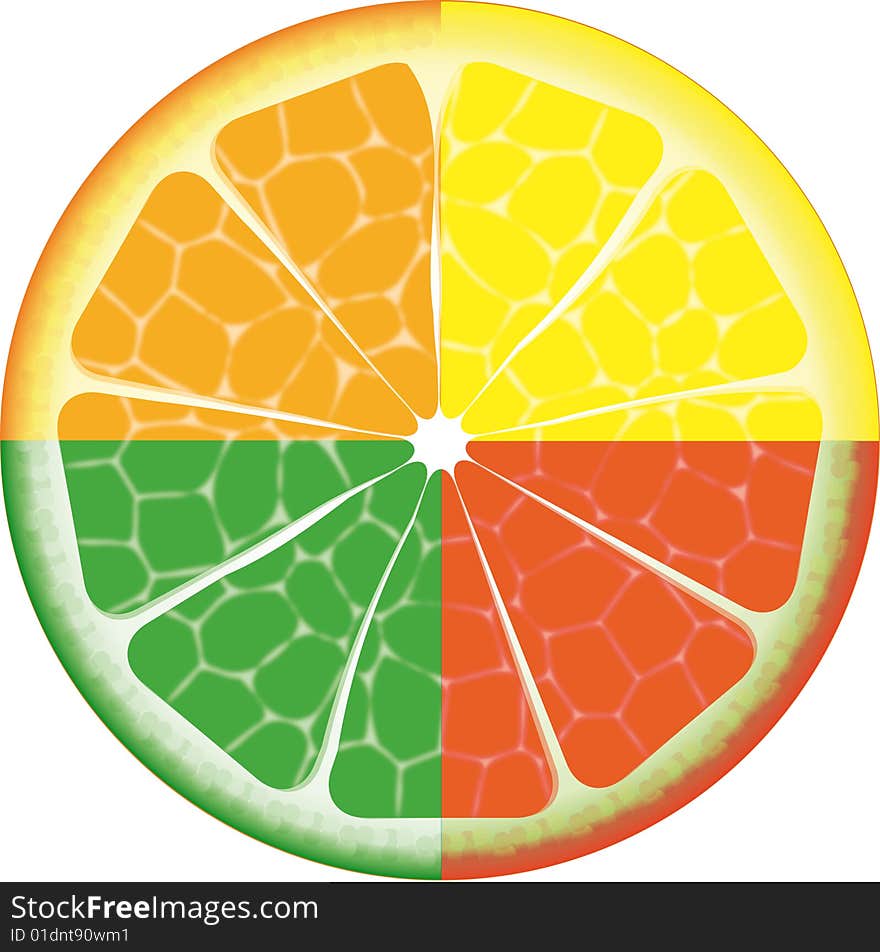 Illustration of multicolored isolated orange fruit on white background. Illustration of multicolored isolated orange fruit on white background