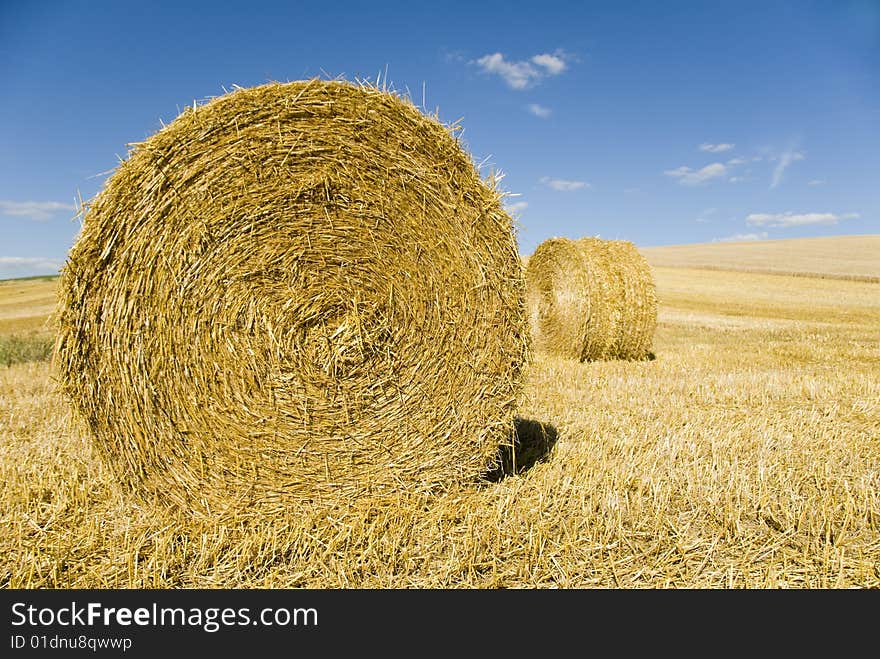 Hay bales drying in the field at harvest time