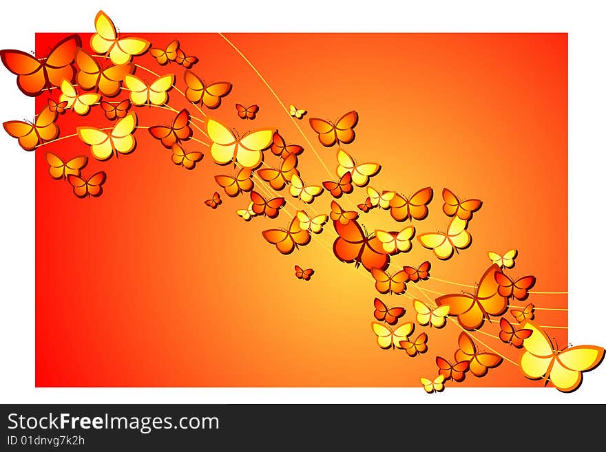 Vector illustration of butterfly background. Vector illustration of butterfly background