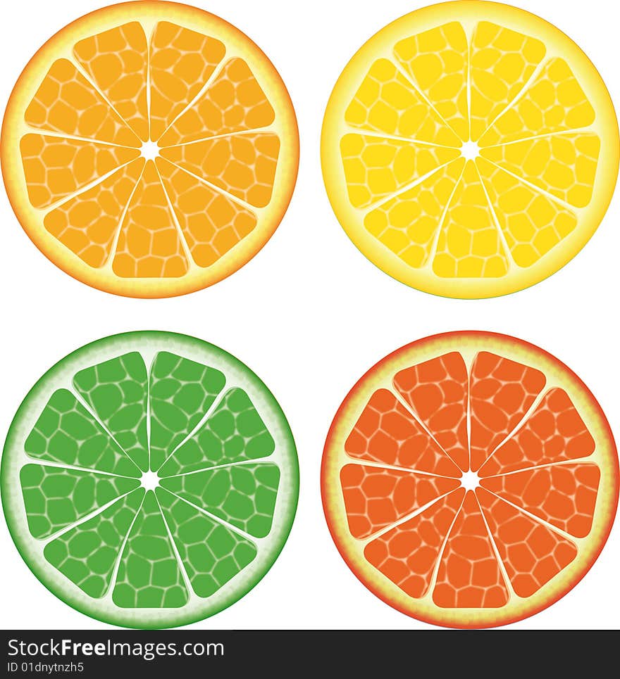 Illustration of multicolored isolated fruits on white background. Illustration of multicolored isolated fruits on white background