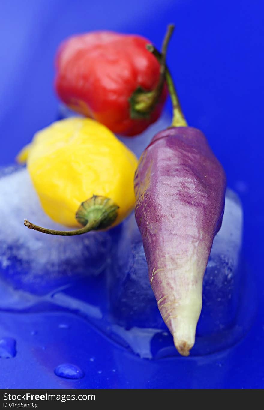 Three spicy chilis on a ice cold background. Three spicy chilis on a ice cold background