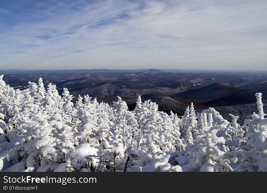 Frozen Landscape