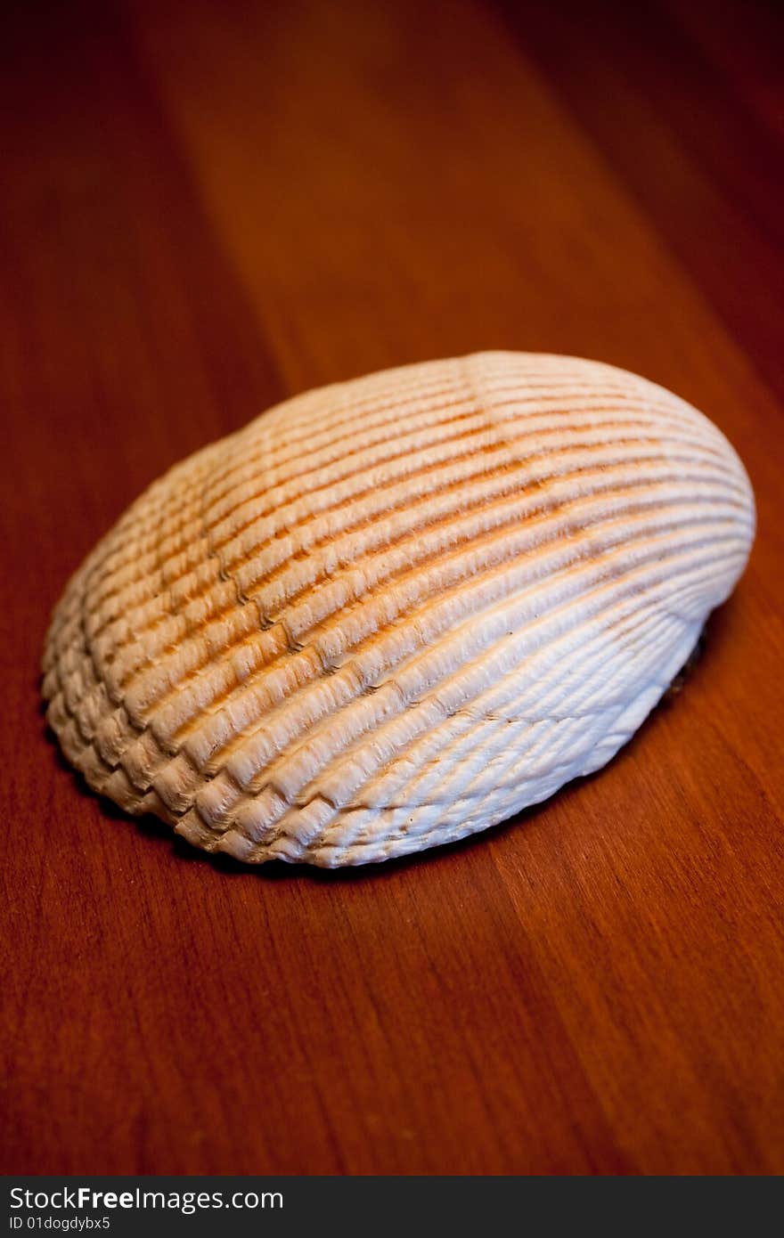 A scallop piece rests on a red wood table under tungsten lighting. A scallop piece rests on a red wood table under tungsten lighting.