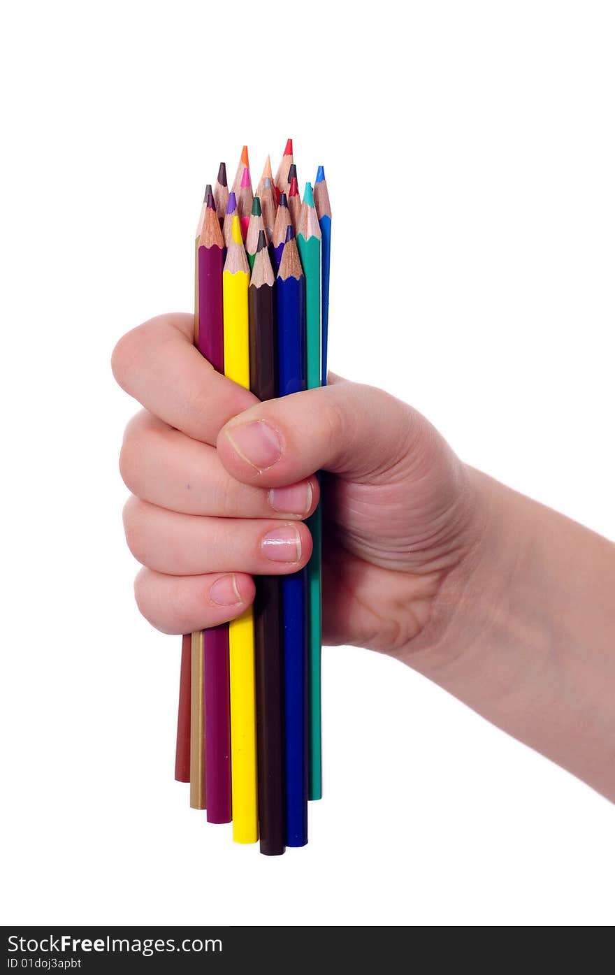 Thick colored pencils in a hand against a white background. Thick colored pencils in a hand against a white background