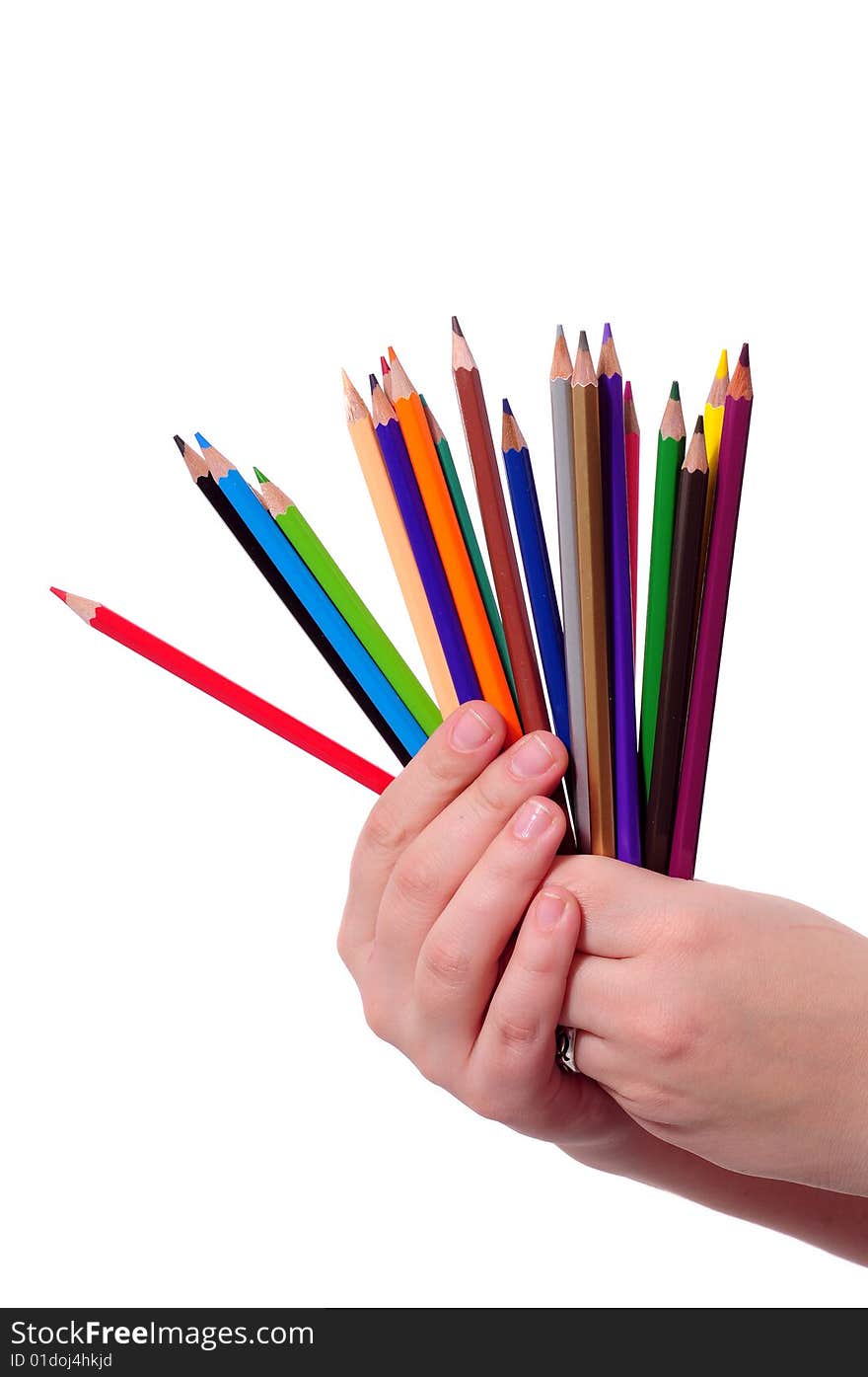 Colored Pencils In Hand