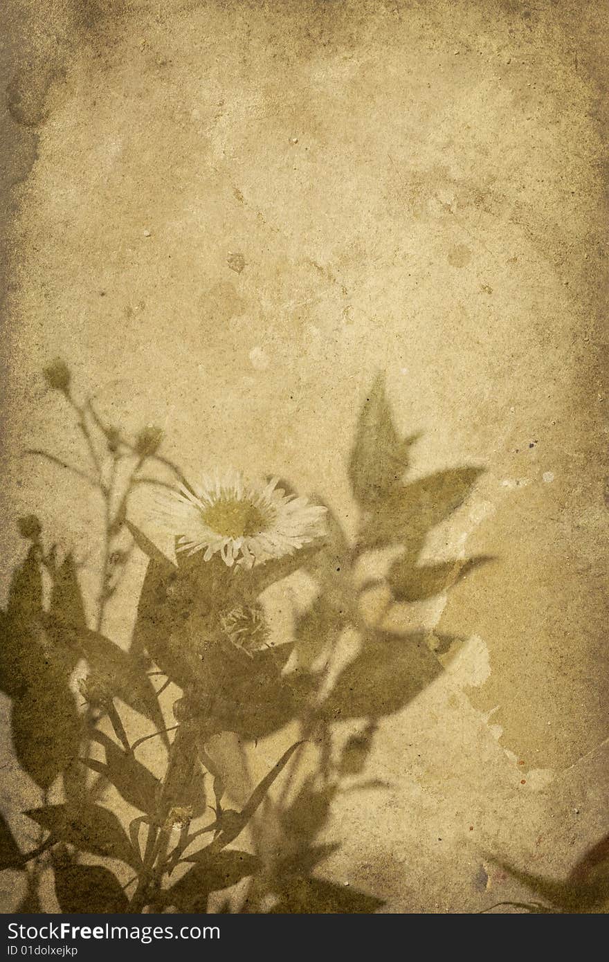 Retro style sepia paper with cracks and stains and a daisy flower imprint. Retro style sepia paper with cracks and stains and a daisy flower imprint