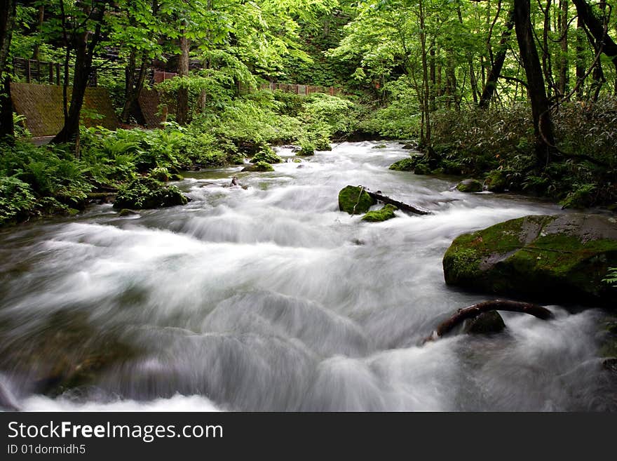 Oirase-gawa River in the Japan