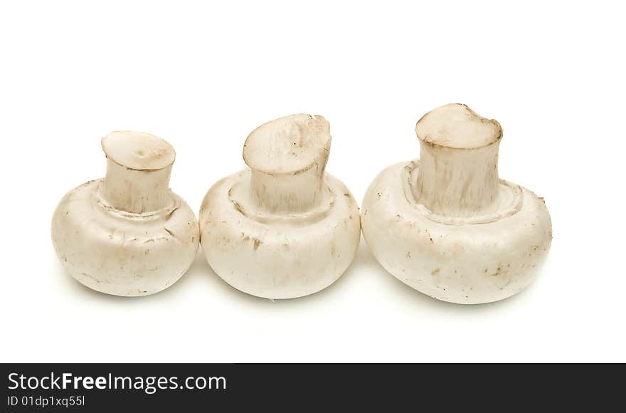 Mushrooms isolated on a white background