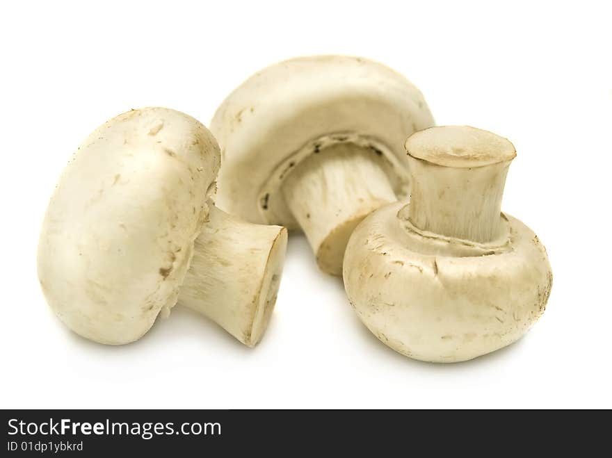 Mushrooms Isolated On A White Background