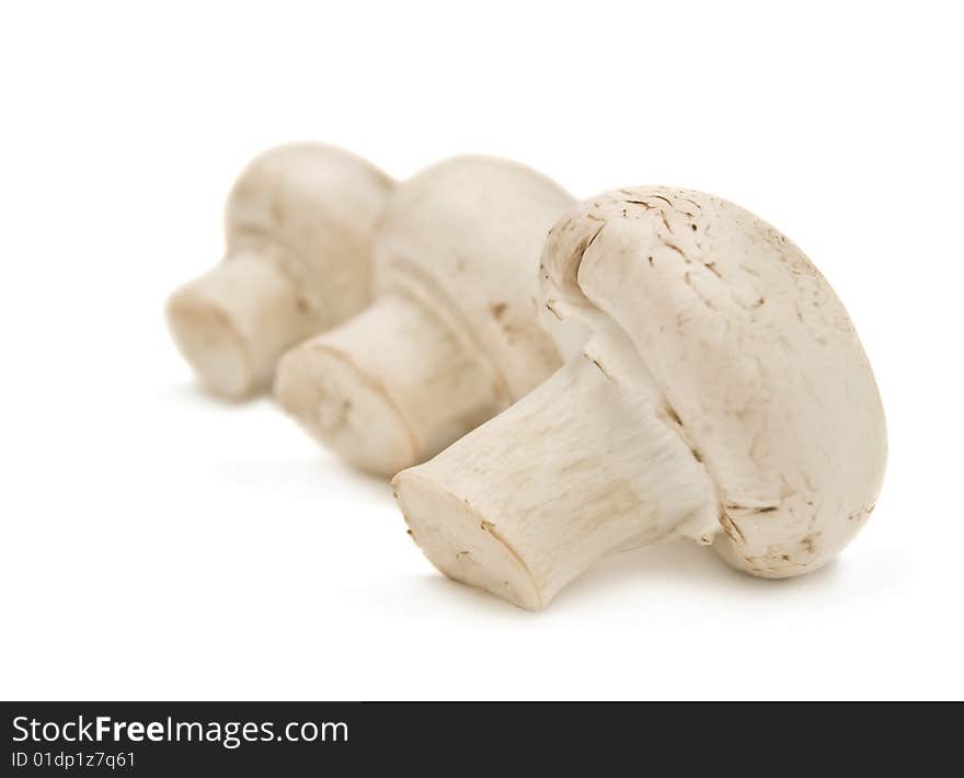 Mushrooms isolated on a white background