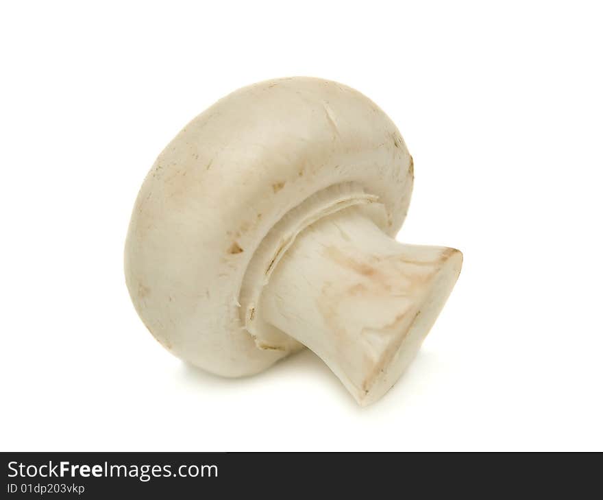 Fresh mushrooms isolated on a white background