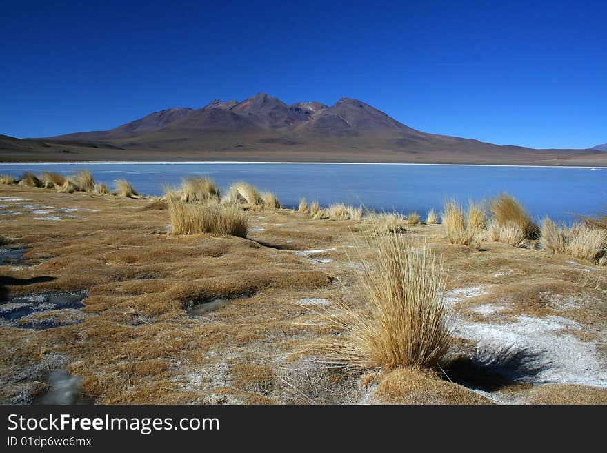 Frozen Lake In Desert