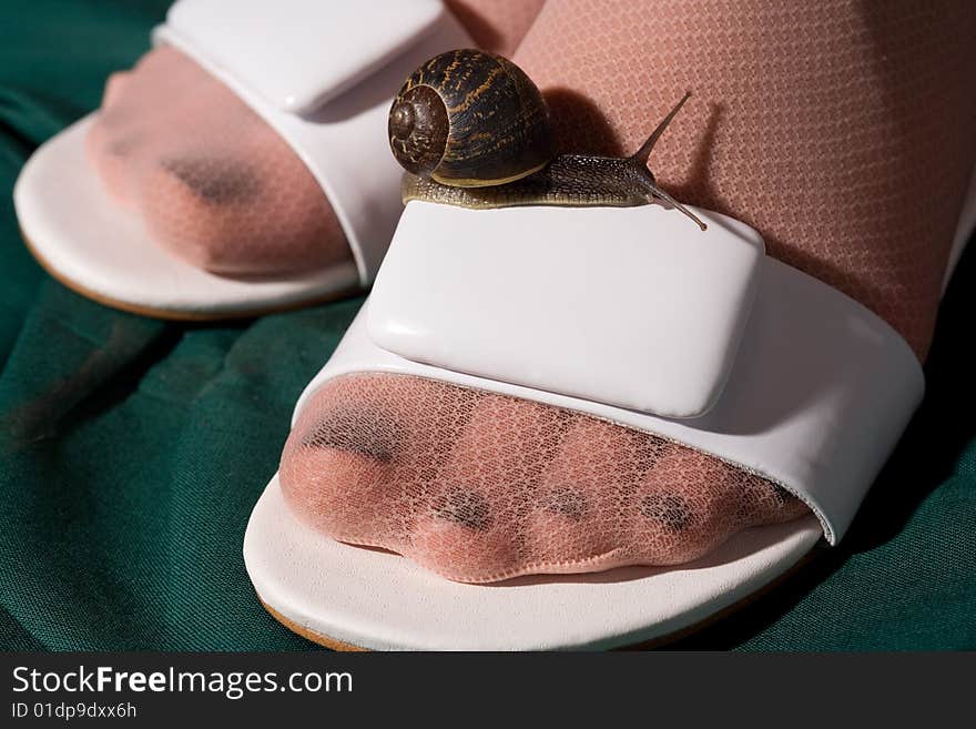 A little snail appreciates the sandals of a girl. A little snail appreciates the sandals of a girl.