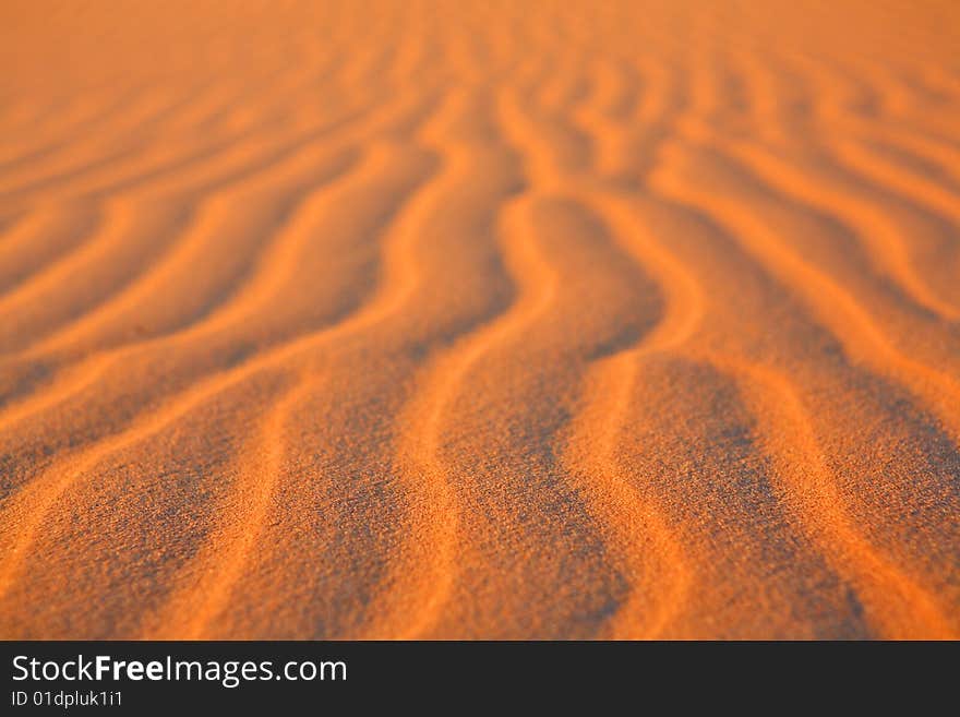 Sahara sand desert - rippled background. Sahara sand desert - rippled background