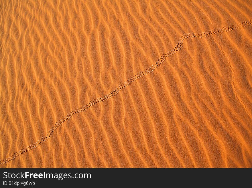 Sahara sand desert - rippled background. Sahara sand desert - rippled background