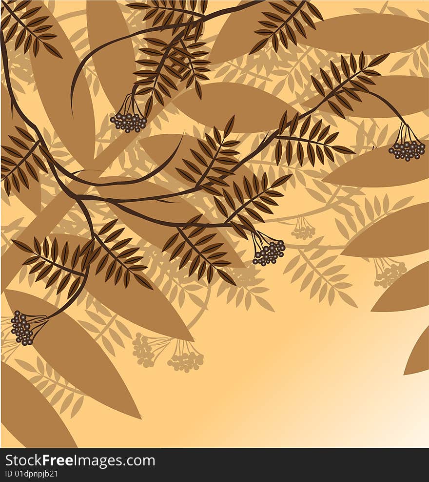 Branch of a plant (mountain ash), the Japanese style, background