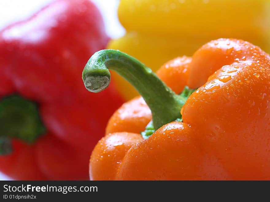 Close up bright colorful pepper. Close up bright colorful pepper