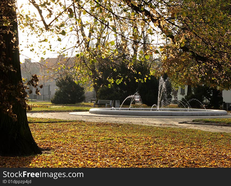 Beautiful autumnal look of a park.