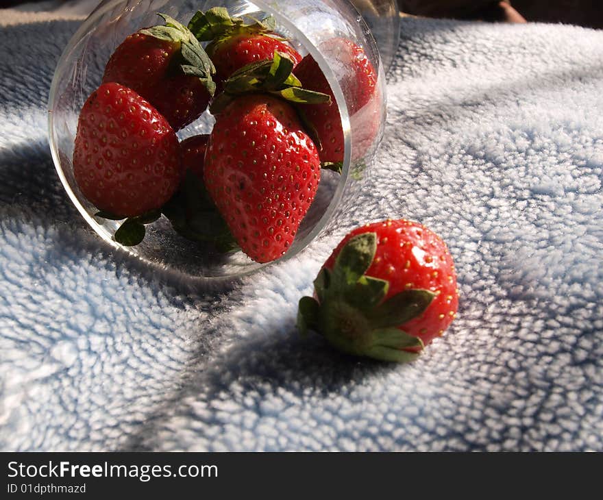 Red strawberries in glass cup on blanket.