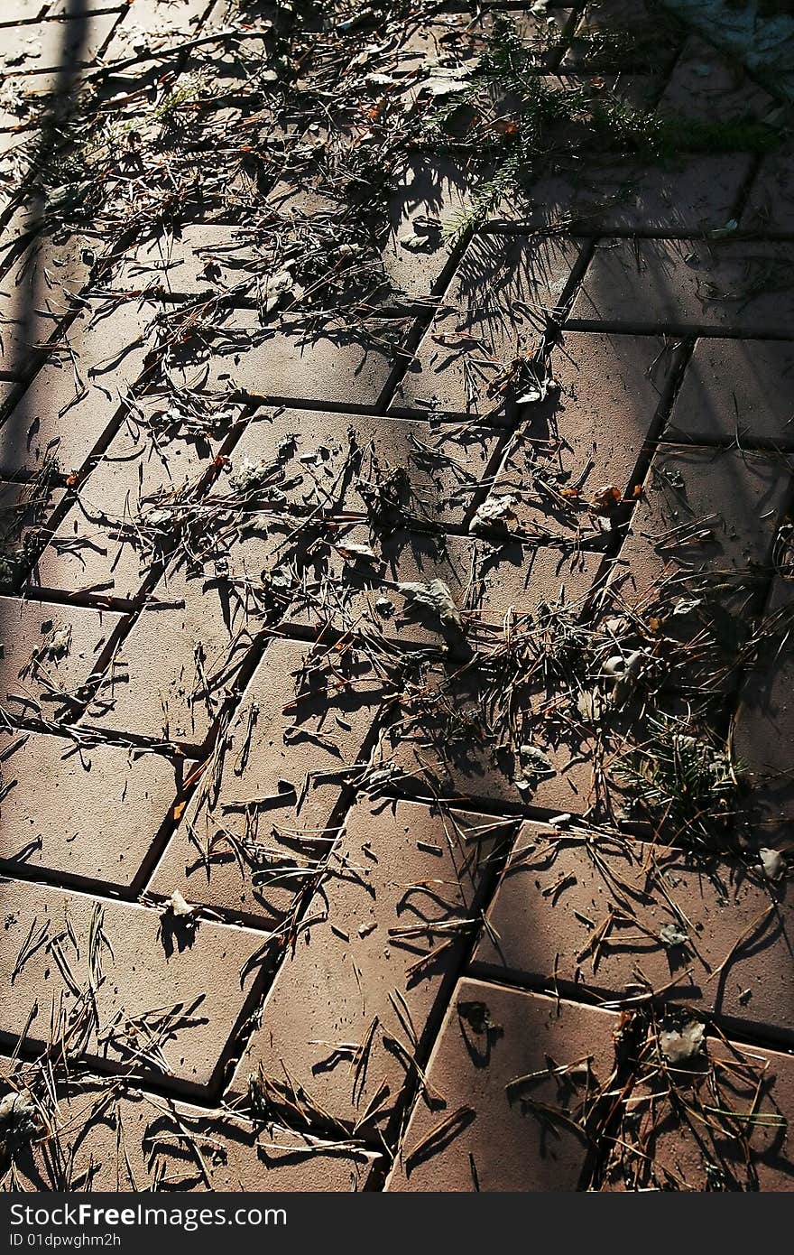 Dry leaves on the brick path