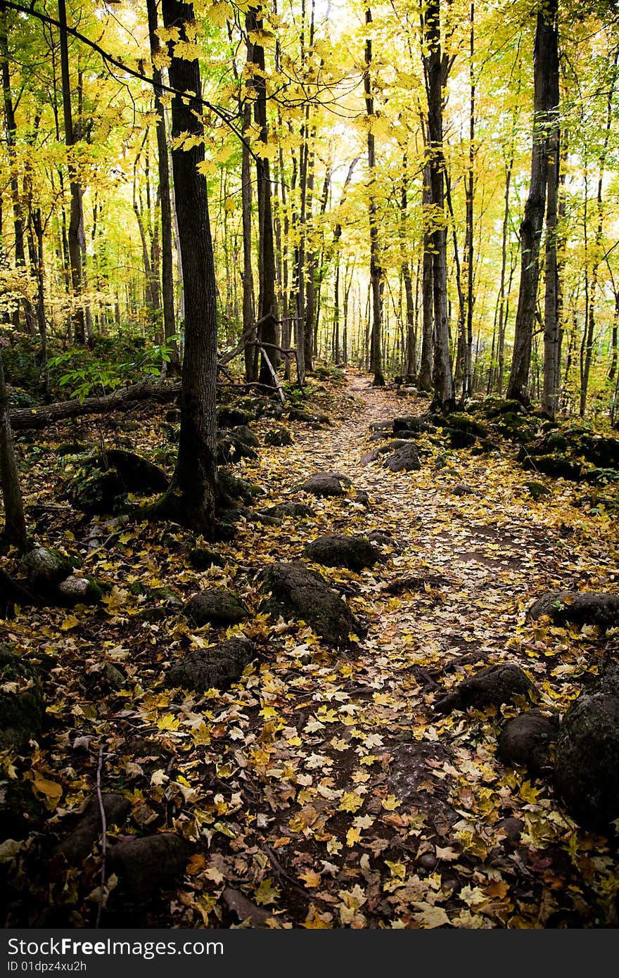 A rocky trail covered in leaves in the fall. A rocky trail covered in leaves in the fall.