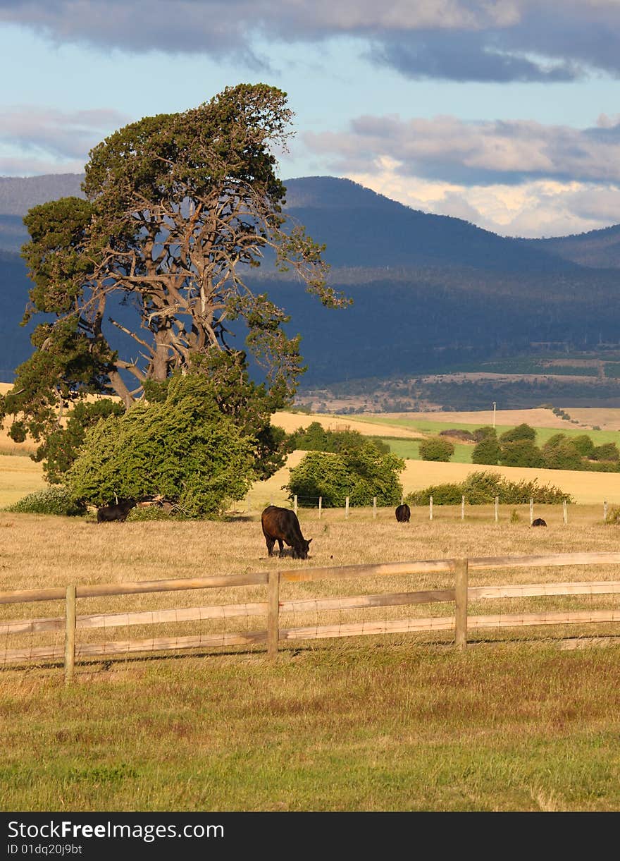 Countryside