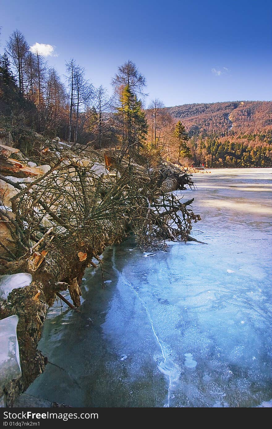 Ice lake and the forest of near the bank. Ice lake and the forest of near the bank