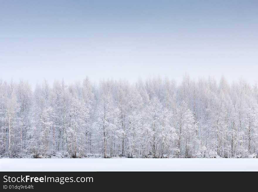 Wintery forest in Northern Finland. Wintery forest in Northern Finland.