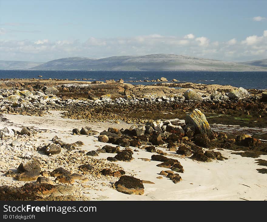 Wild beach landscape