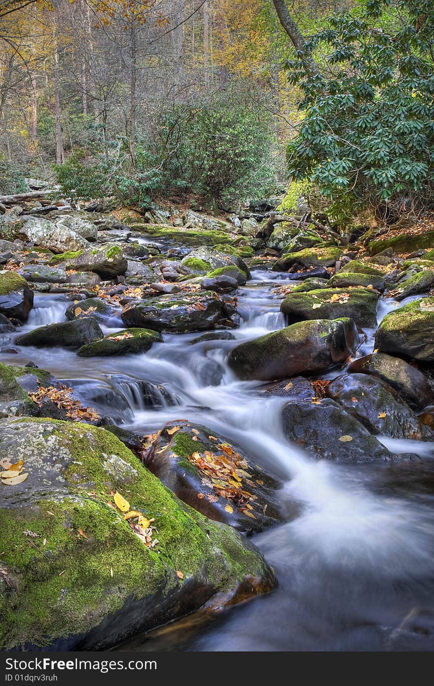 Beautiful mountain stream flowing through the forest during autumn.