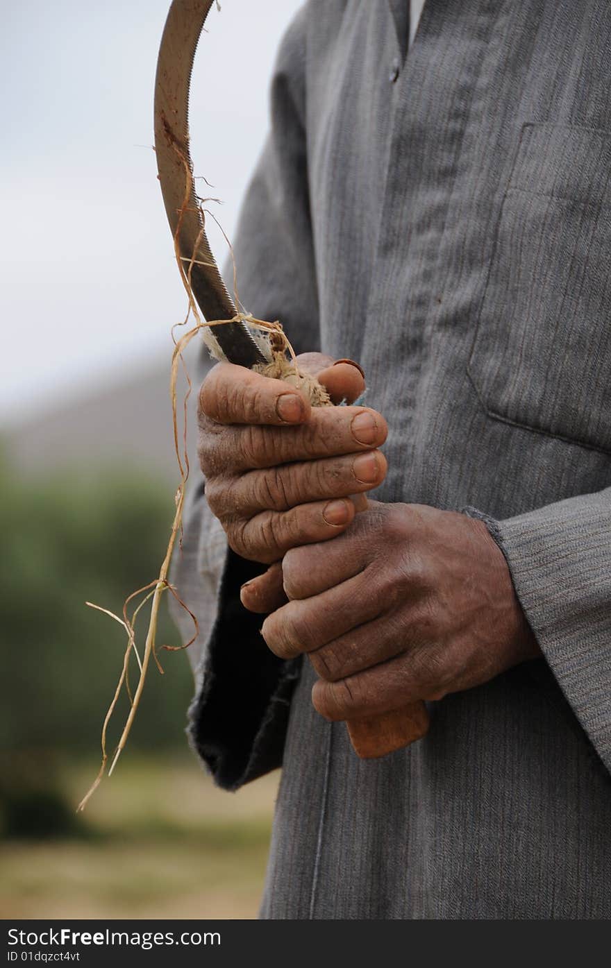 Working Hands