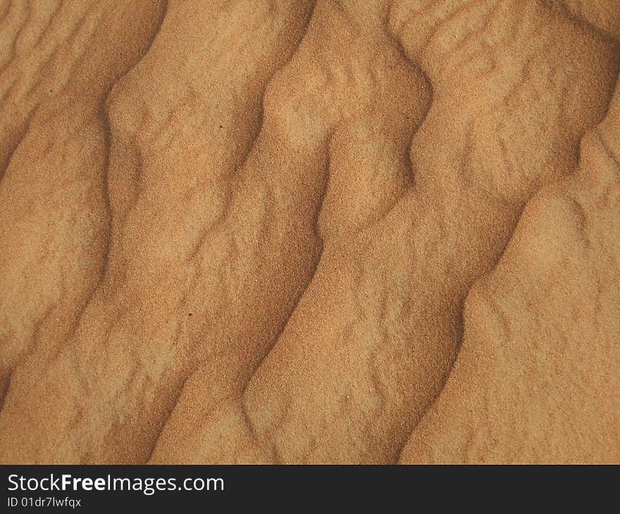 A close look at the texture of a sandy plain. A close look at the texture of a sandy plain