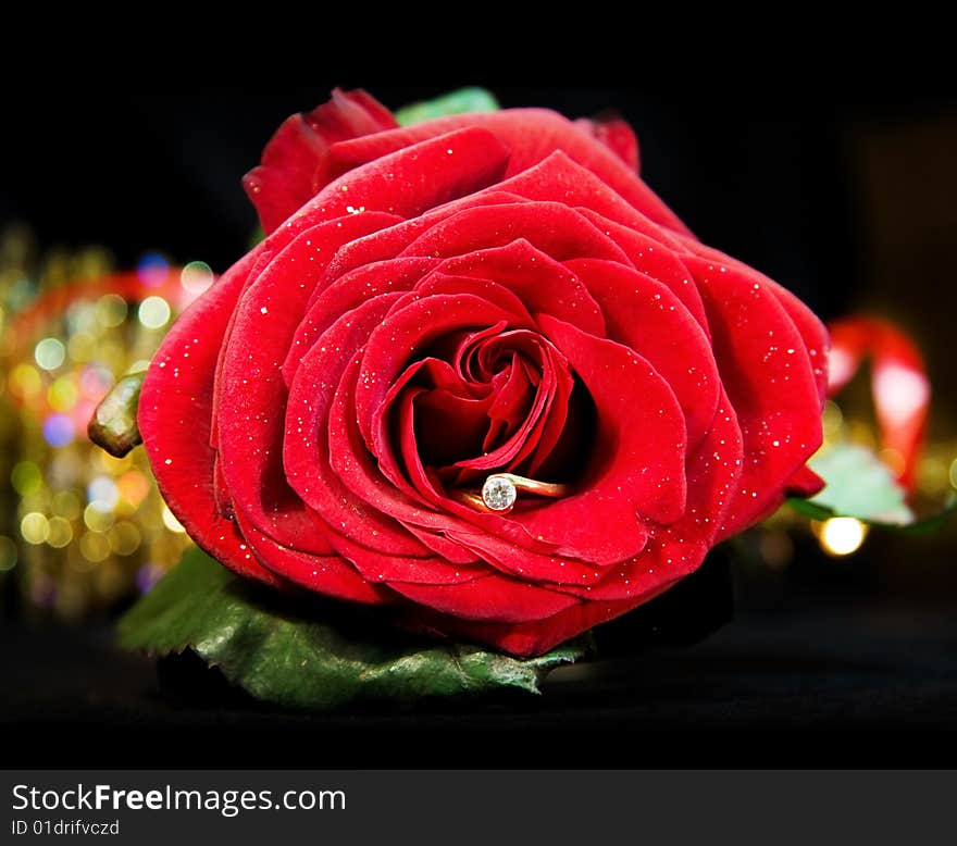 Marry Me! - single red rose with diamond engagement ring over sparkling lights. Marry Me! - single red rose with diamond engagement ring over sparkling lights.