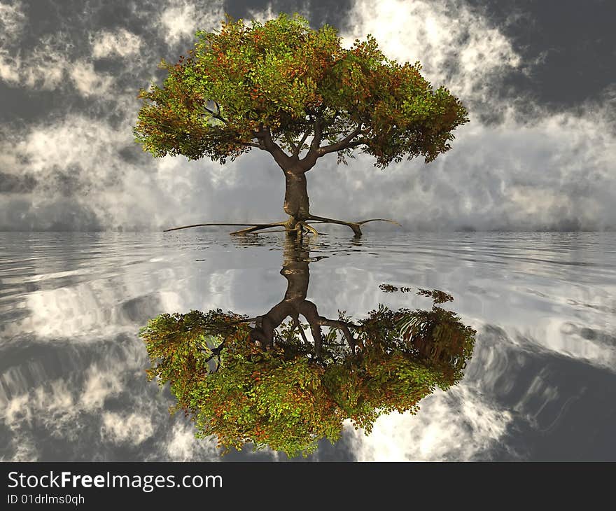 The tree in the water, the reflection of the solitude. The tree in the water, the reflection of the solitude