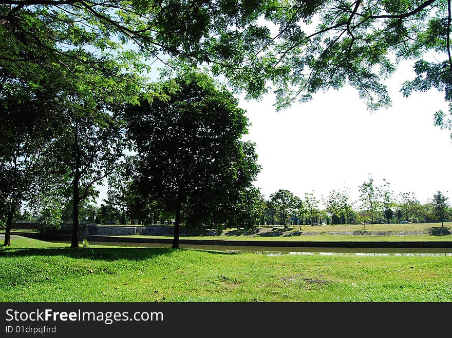 A scene of green field with many tree at shah alam malaysia