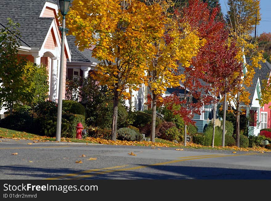 Colorful neighborhood